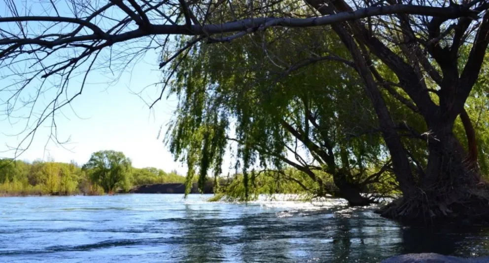 Intensa búsqueda de un niño que fue arrastrado por la corriente del río en Allen 