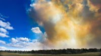 Alarmante: las llamas en Tierra del Fuego ya abarcan 9.000 hectáreas 