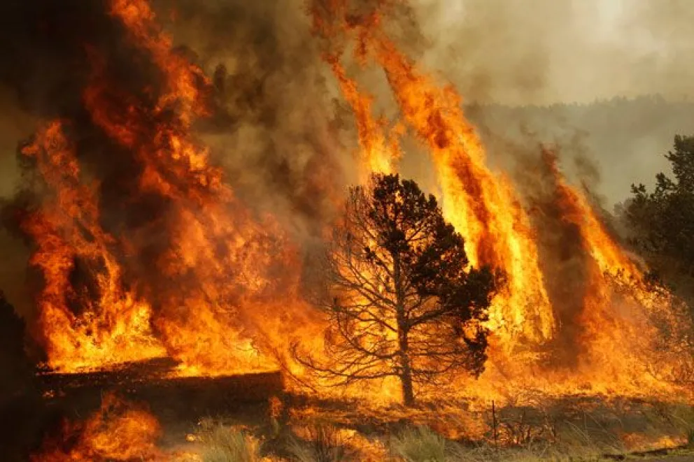 Tierra del Fuego en llamas: el fuego arrasó alrededor de 12 mil hectáreas 