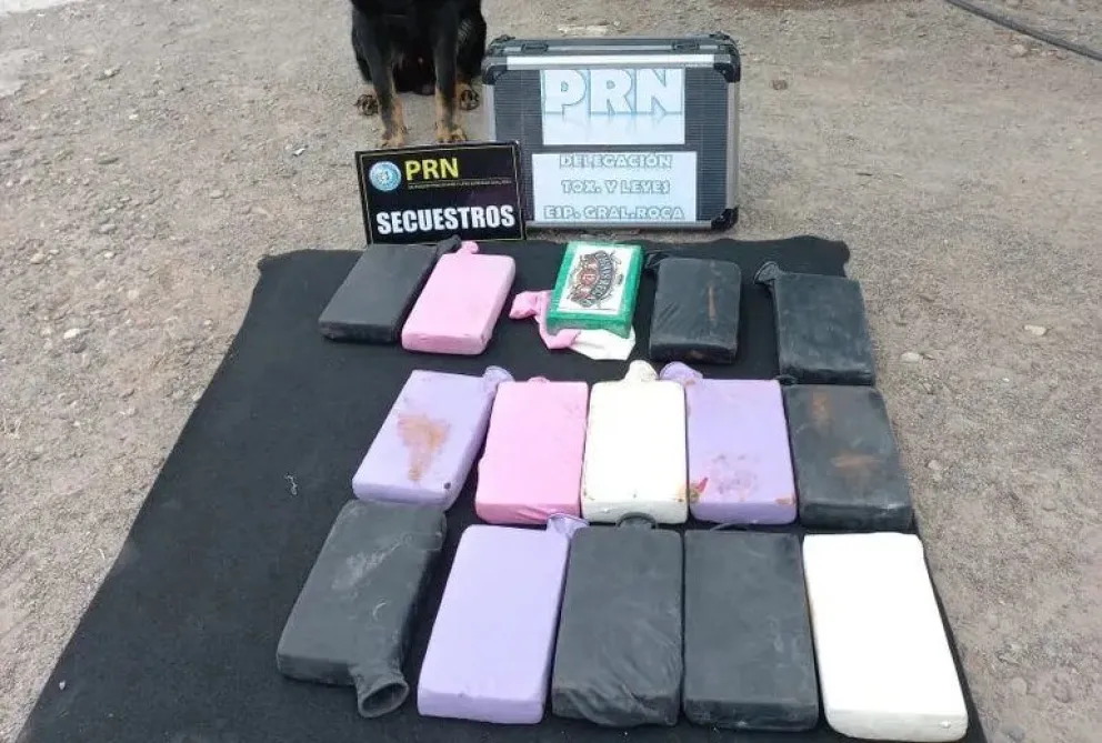 Condenaron a la banda narco roquense que traficaba cocaína en las ciudades del Valle