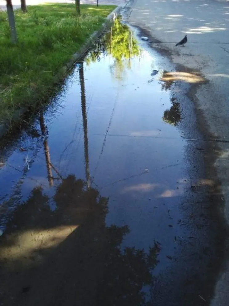 35 nuevas actas labradas por desbordes de agua y cloaca: ¿dónde denunciar?
