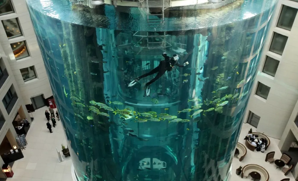 Explotó el acuario más grande del mundo provocando serios destrozos y la muerte de miles de peces