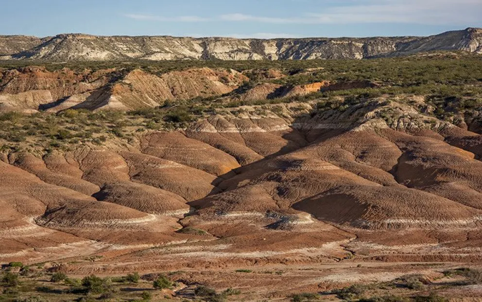 Las bardas de Roca, escenario de caminatas y excursiones para descubrir flora, fauna y paisajes únicos durante las vacaciones de invierno. Foto (archivo).