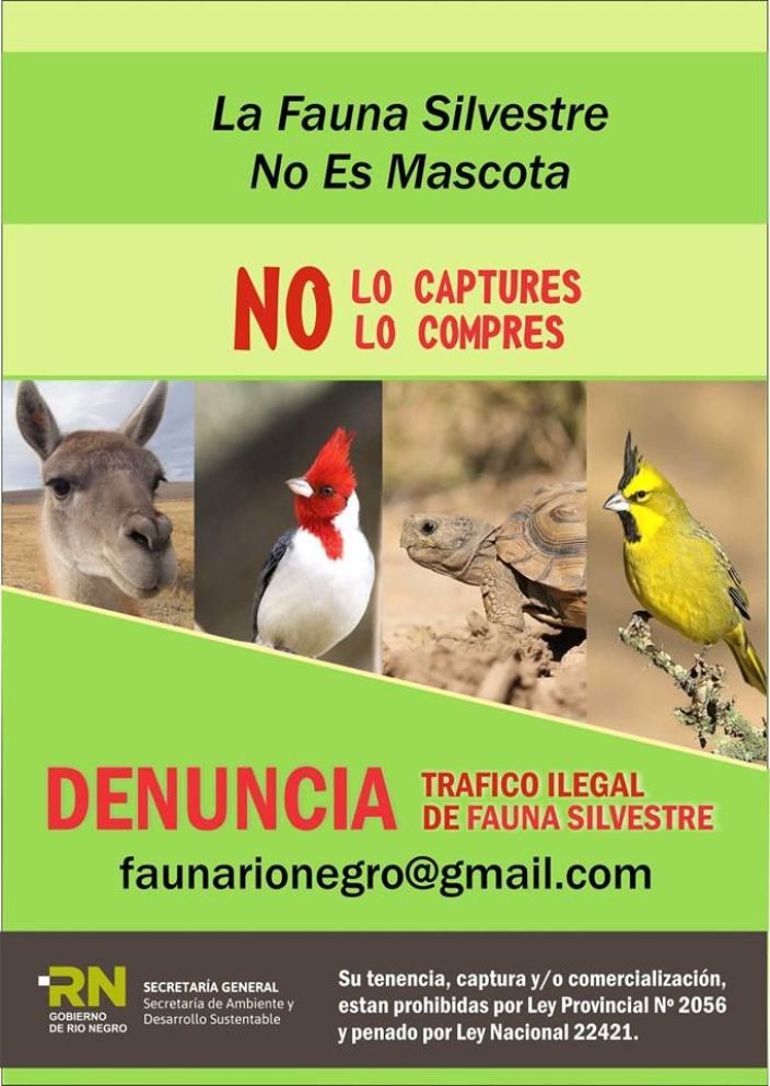 proh&iacute;ben tener fauna silvestre