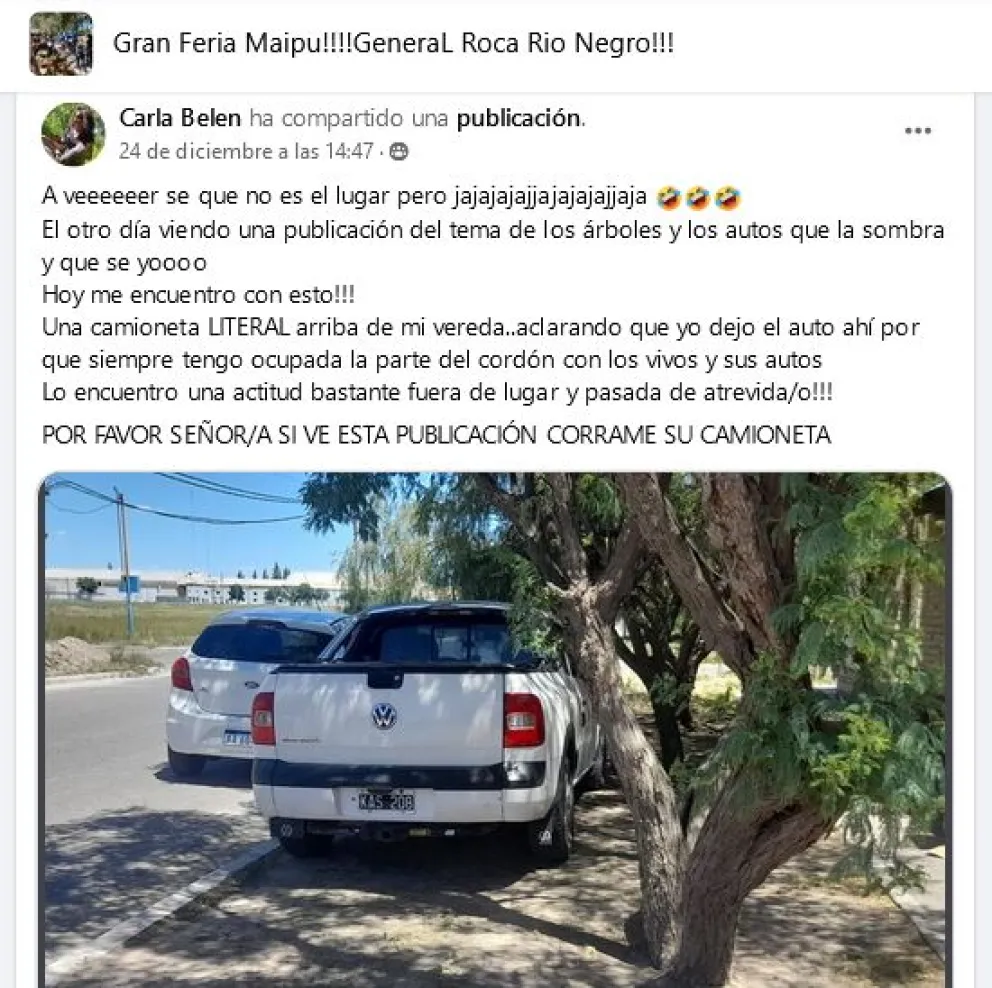 Llega el calor y empiezan los conflictos por “la sombra” para estacionar
