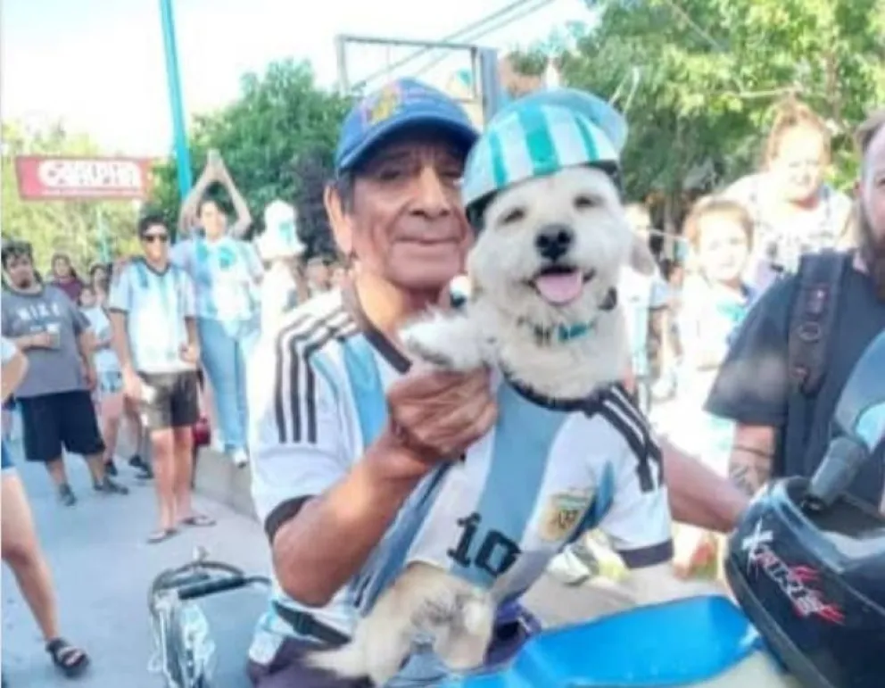El dueño de Chelo está vendiendo cascos de mascotas ¿Cómo colaborar?