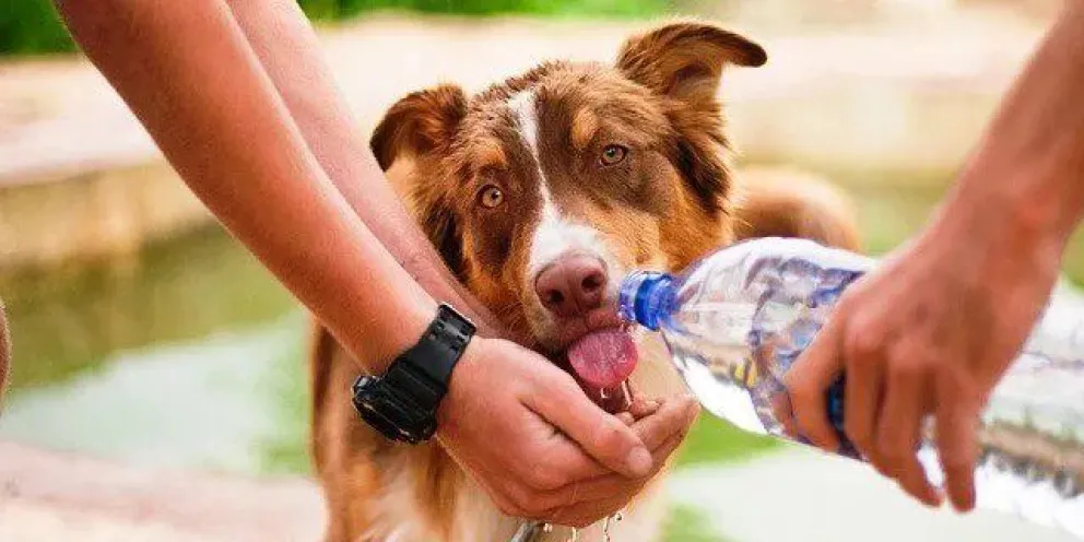 Clima: ¡Sigue el calor! ¿Cuándo llega el alivio?