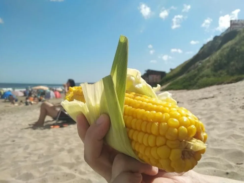 ¡Una locura!: ¿Cuánto cuesta comer un choclo en Mar del Plata?