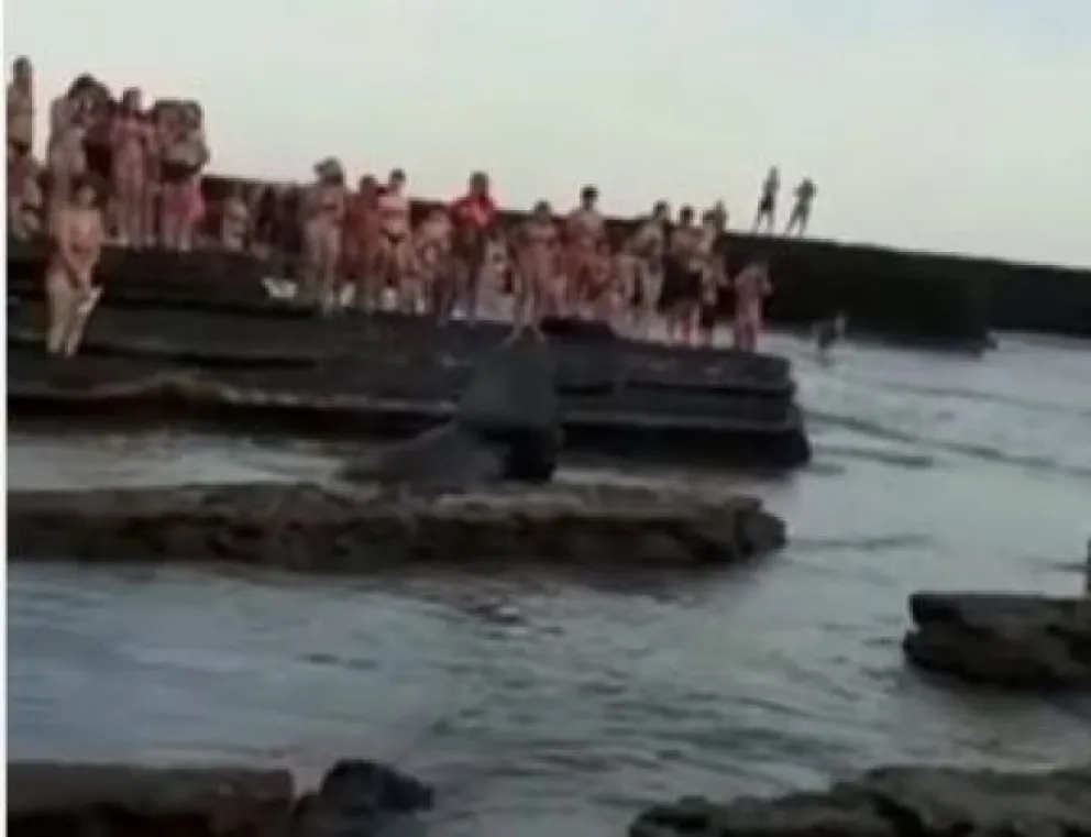 Indignación en la Lobería: un amplio grupo de personas volvió a molestar a un lobo marino