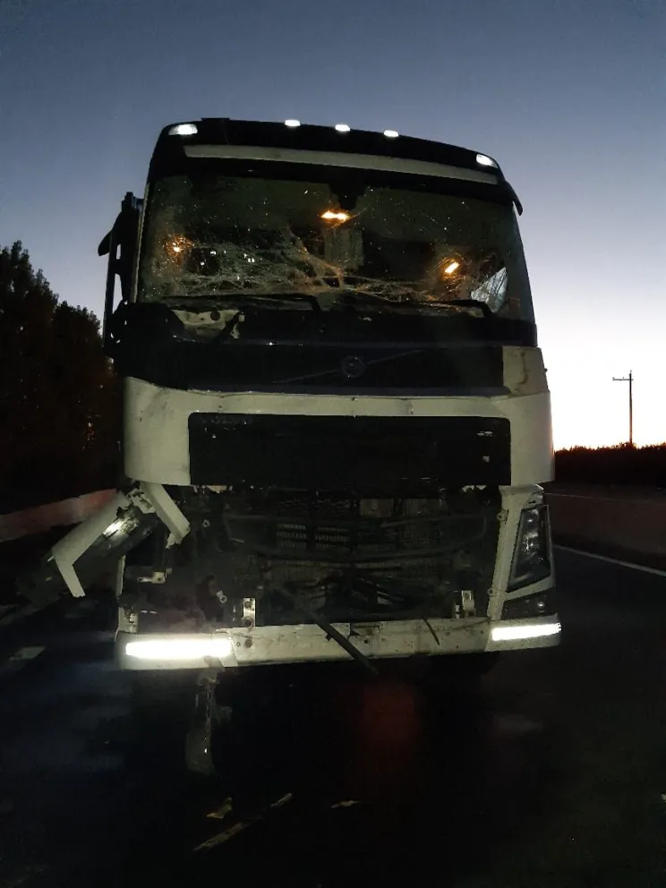 En la Ruta 22: Un camión no alcanzó a frenar y chocó a otro que transportaba rollizos