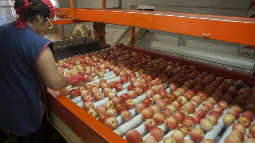 Paritarias: Hubo acuerdo para los trabajadores de la fruta