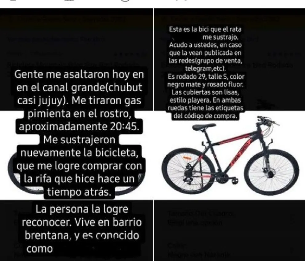 Vecinos enojados por una seguidilla de robos en la zona del Brentana