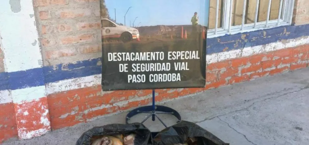 Decomisan en Paso Córdoba 50 kilos de carne que era transportada de forma irregular 