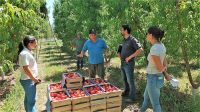 Certifican 188 toneladas de frutas para exportar desde la región a más de 50 países