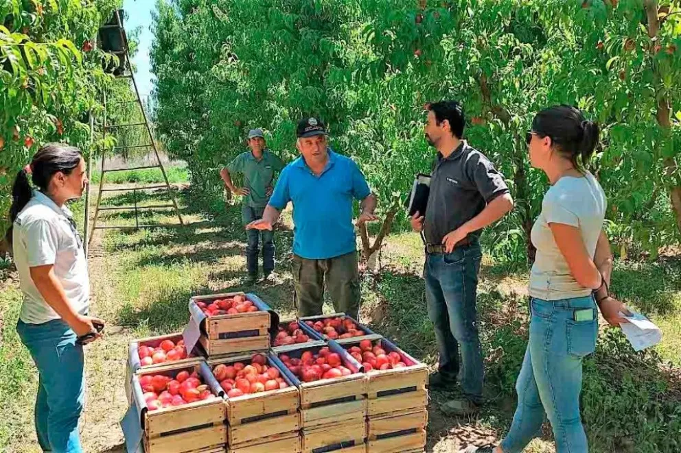  Inscripción abierta a los programas de exportación frutícola y al RENSPA en Río Negro