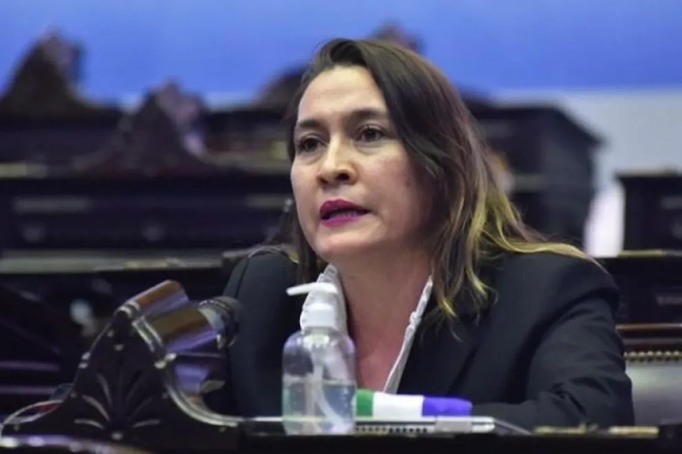 Matzen: “Ninguna crisis se resuelve avasallando la institucionalidad democrática”