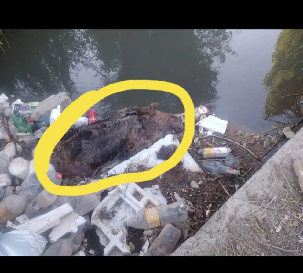 ¿Cuánta basura pueden tolerar los canales de riego?