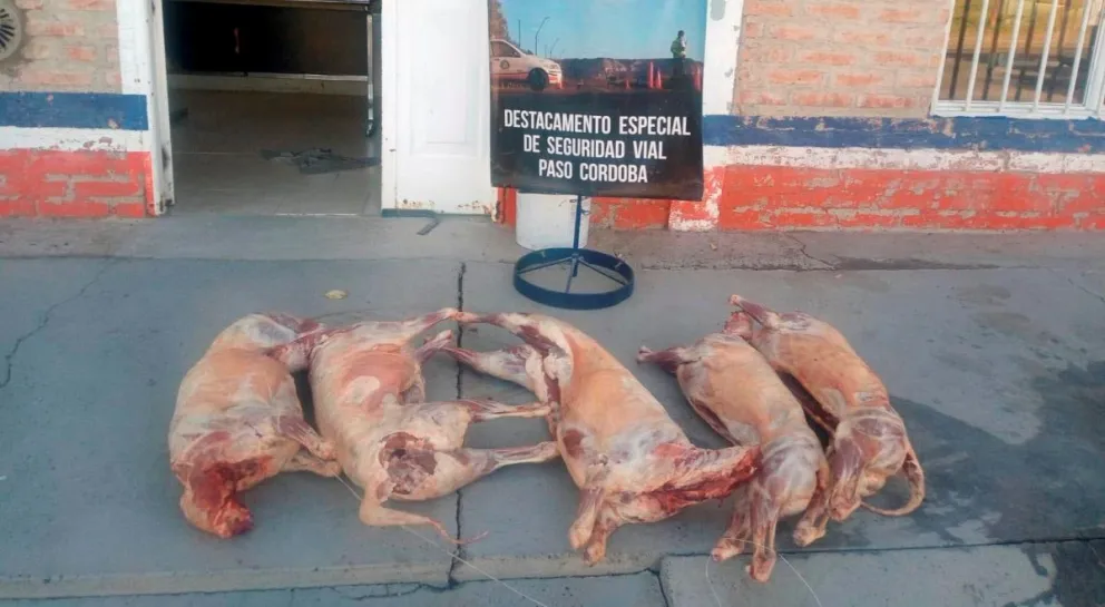 Secuestraron cinco corderos faenados en la entrada a Paso Córdoba