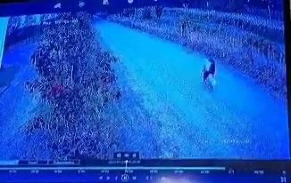 VIDEO: Delincuentes robaron un perro y se lo llevaron a la rastra 