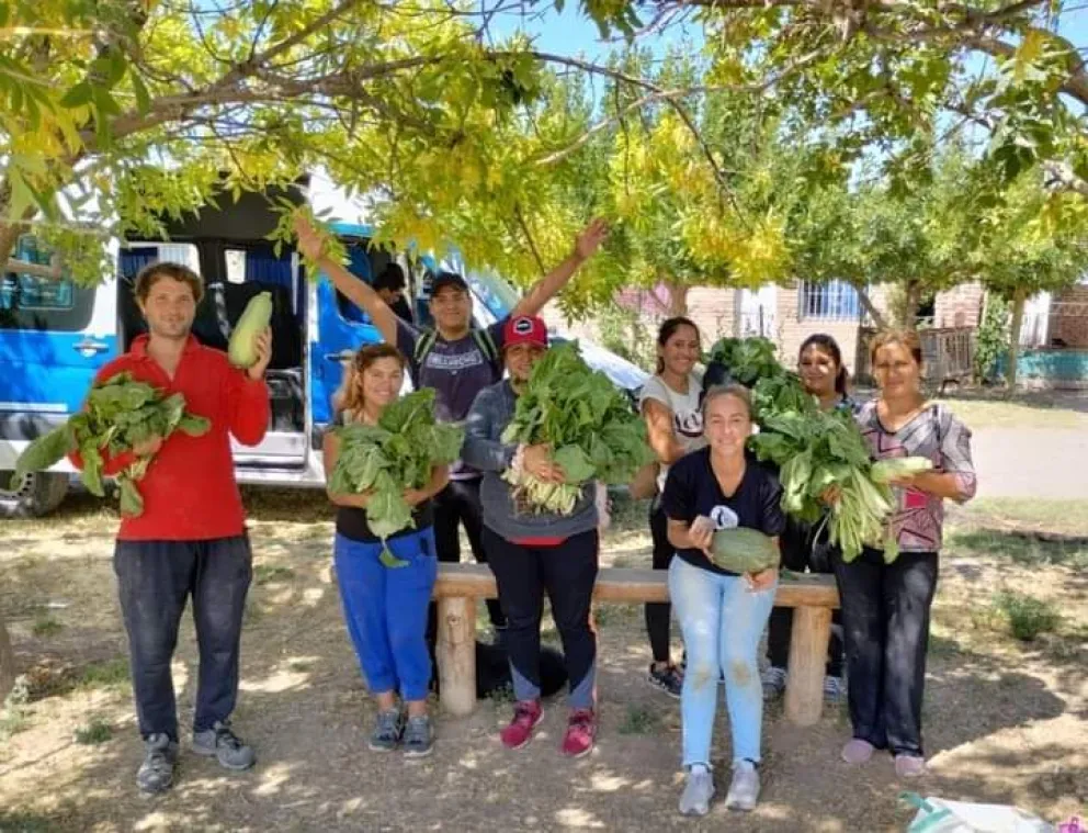 “La chacra alimentar” tuvo su primera cosecha desde que inicio el programa 