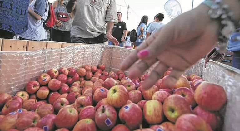 Circuito Productivo: once vecinos de nuestra ciudad serán reconocidos en la Fiesta de la Manzana