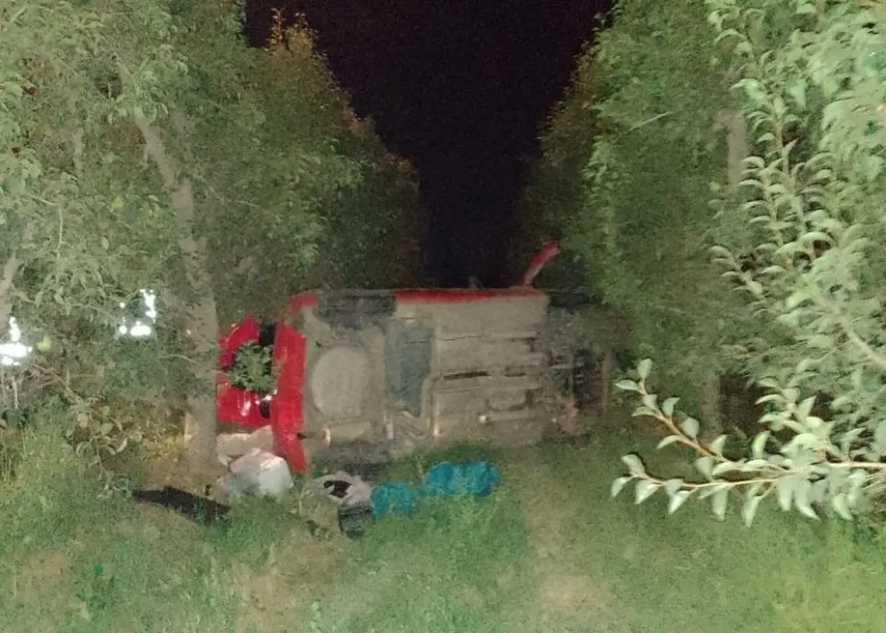 Ruta 22: mordió la banquina, perdió el control y terminó dentro de una chacra