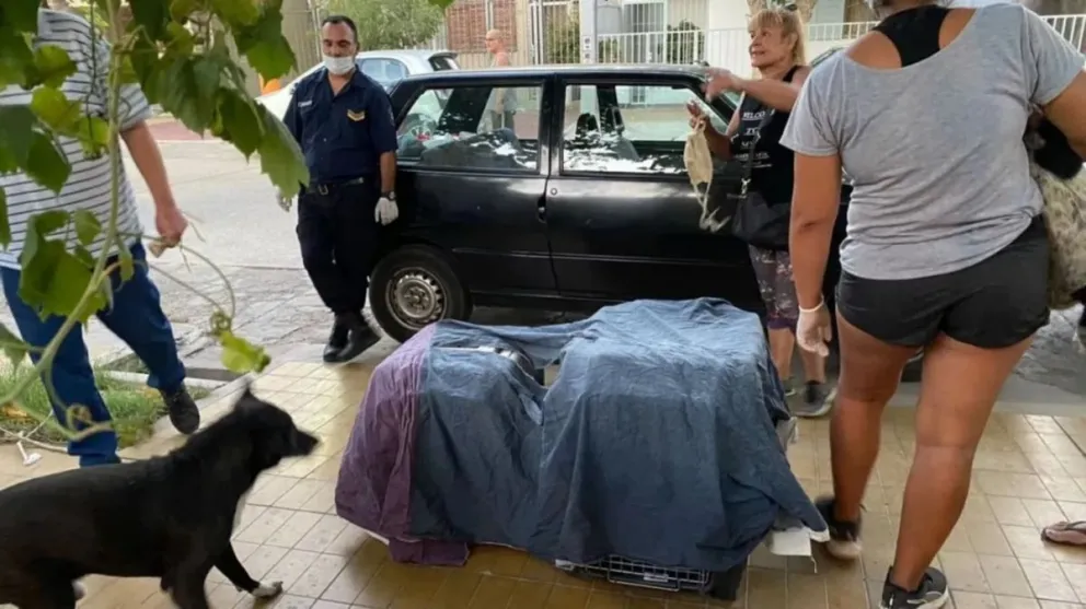Un horror: una mujer mataba perros y gatos para “absorber sus energías”
