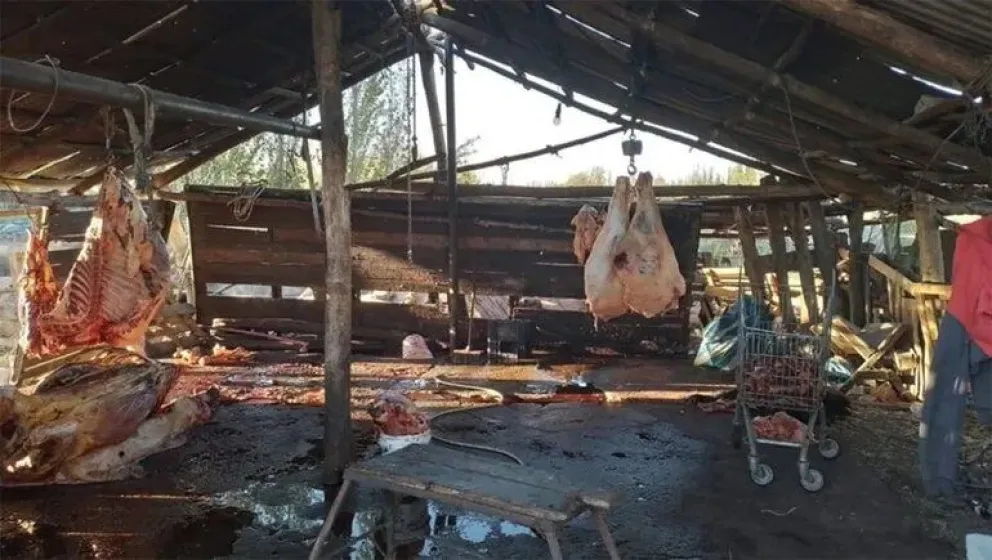 La denuncia de maltrato animal que terminó en un operativo para desarmar un punto de faena clandestina