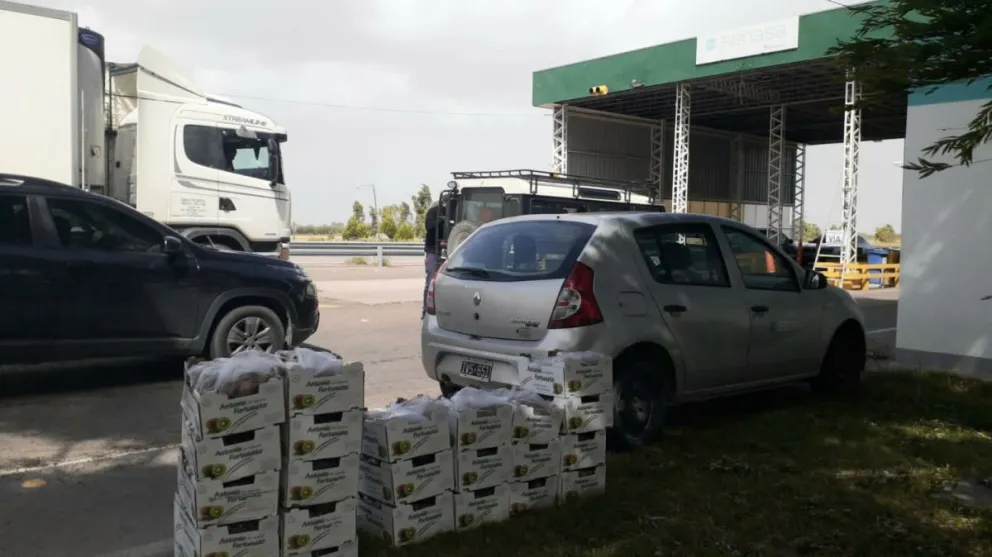 Detuvieron un vehículo con más de 200 kilos de kiwis con Mosca de los Frutos
