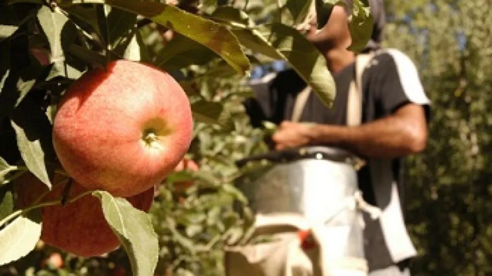 El anuncio de la mejora en la pauta salarial para los rurales, fue anunciada esta tarde por el Secretario Marcos Bielma. (Foto: archivo)