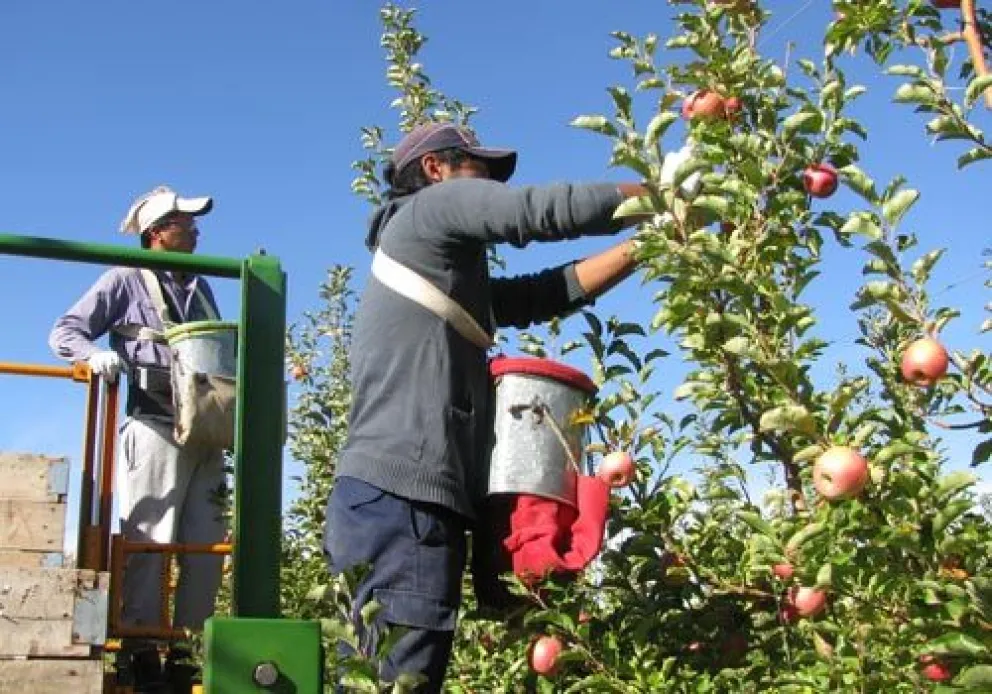 Río Negro coordina acciones para garantizar un inicio seguro de la temporada de cosecha