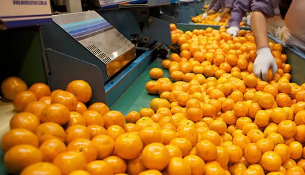 Habilitan nuevos productores para el comercio de cítricos en la Patagonia