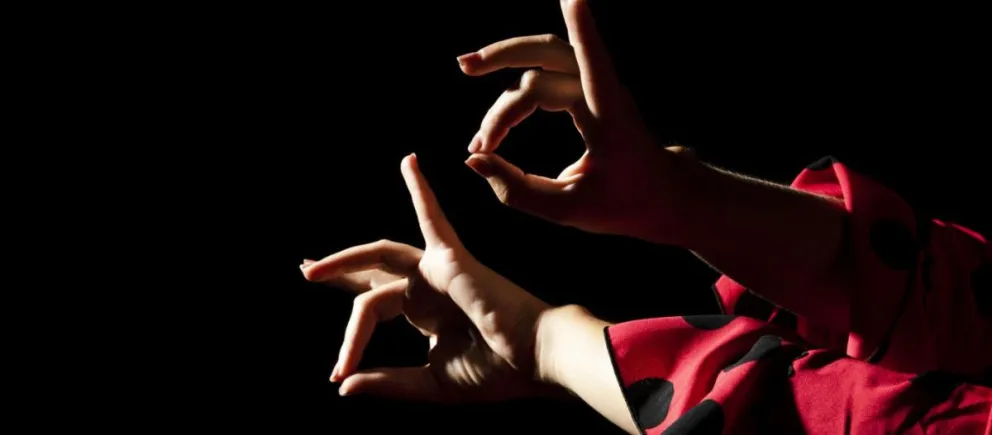 ¡Atención amantes de la danza!: Fundación Cultural Patagonia trae una propuesta imperdible 