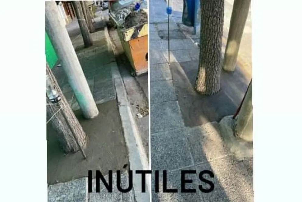 Insólito: taparon con cemento la base de los árboles y estallaron las redes