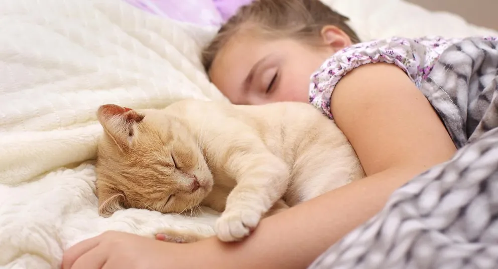 Dormir con tu gato podría ser perjudicial para la salud: por qué 