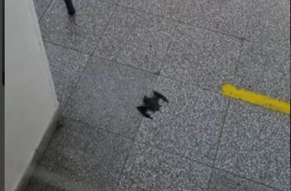 Escuela 168: El edificio completo estaría en condiciones el lunes   