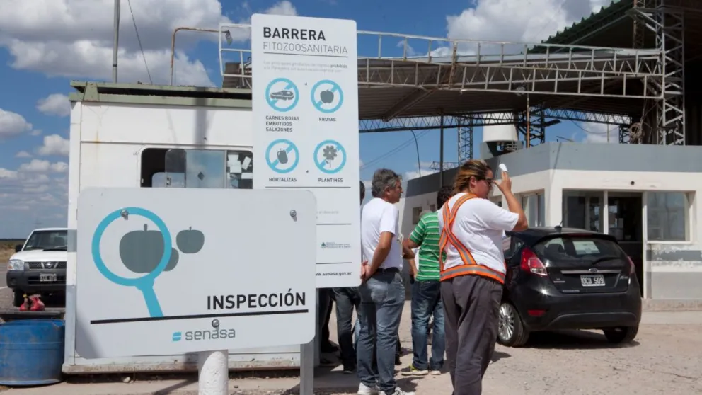 Preocupación: van a reforzar los controles en la Barrera Zoofitosanitaria Patagónica