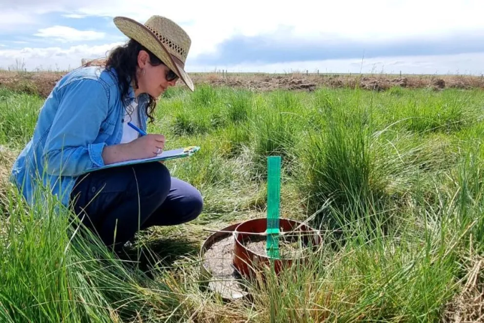 Investigadoras de la región buscan mejorar el desempeño del riego para cultivo