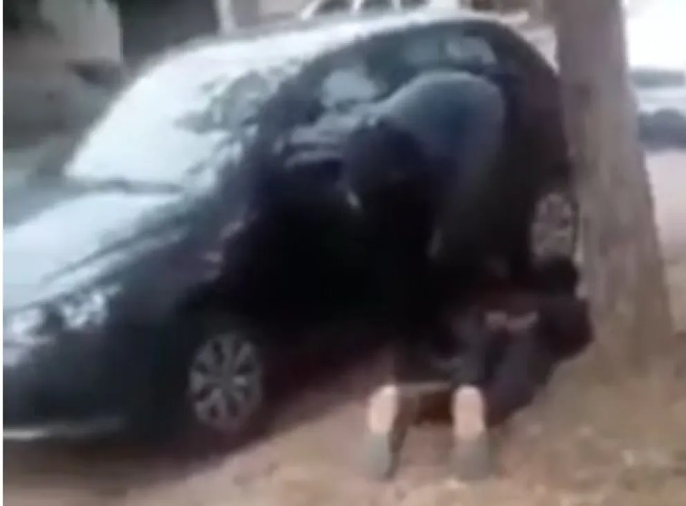 VIDEO:Intentó robar un comercio y los vecinos hicieron justicia por mano propia 