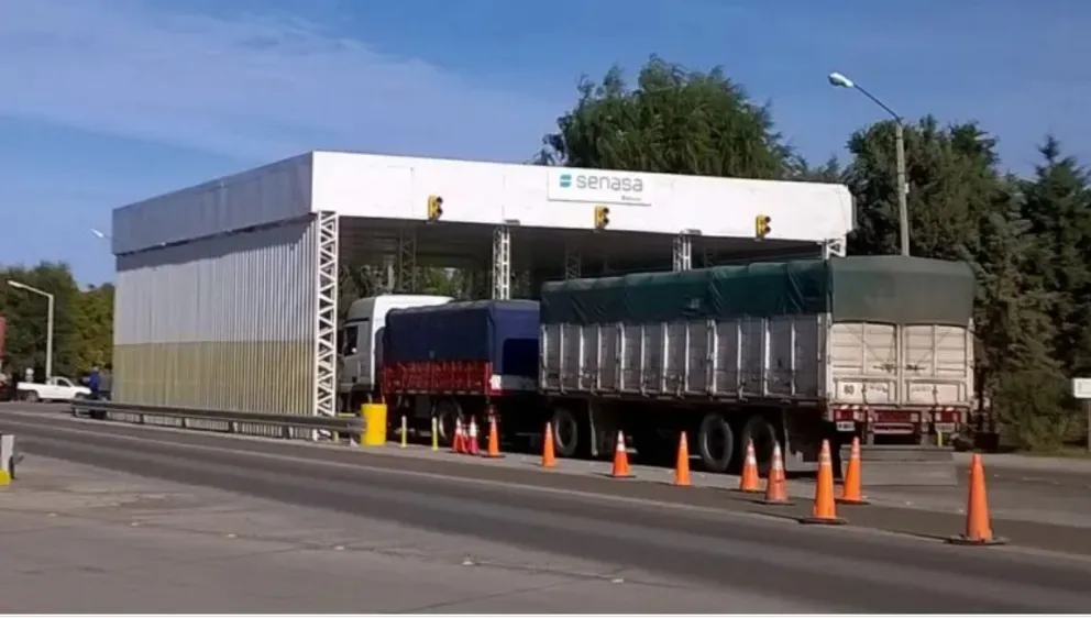 Intentaban ingresar con 225 kilos de carne pampeana y Senasa la secuestró  