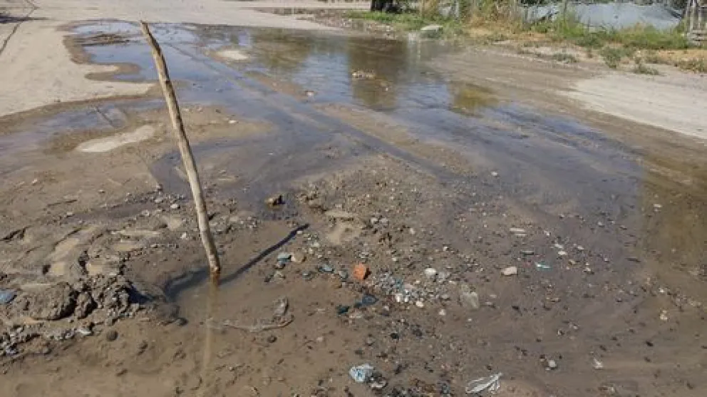 Realizan un reclamo por falta de servicios en el barrio Fiske Menuco 