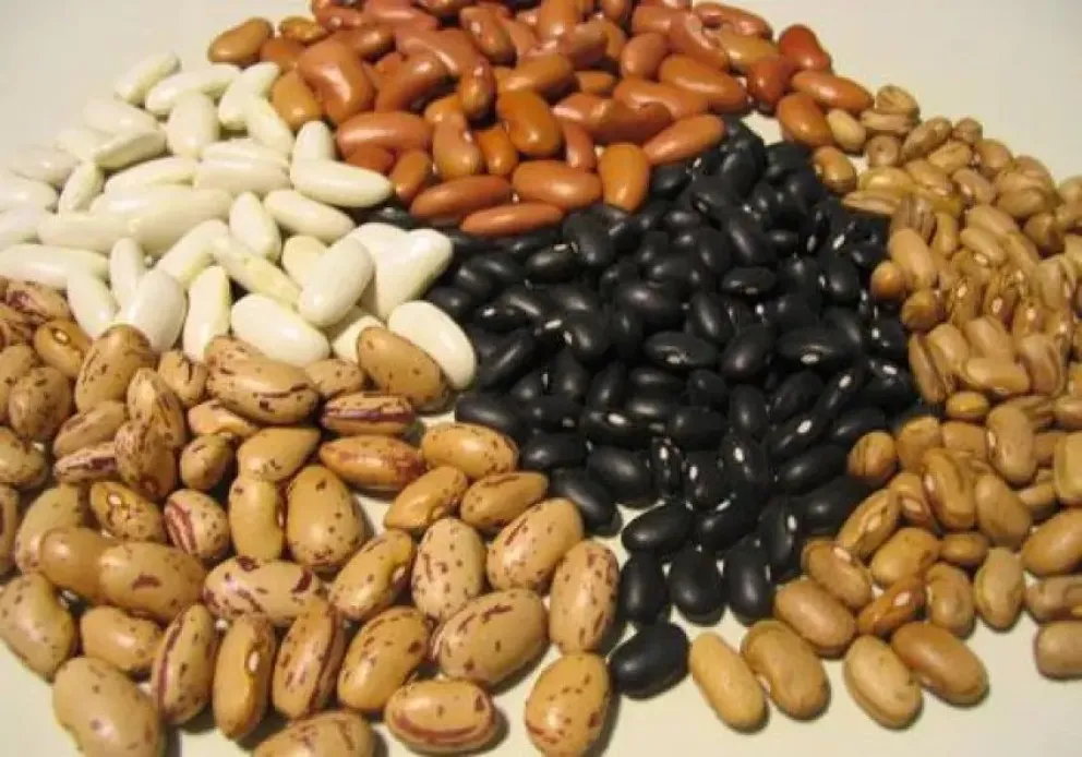 ¿Querés recibir el kit de semillas otoño-invierno para huertas familiares?