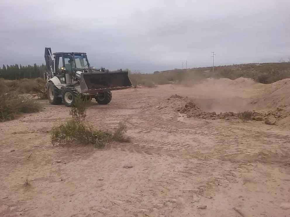 Tras los reclamos de la productora, el municipio enterró las vacas envenenadas 