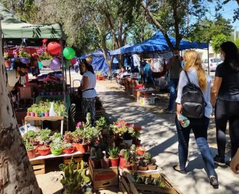 ¿Cómo inscribirse para vender en la Feria Maipú? 