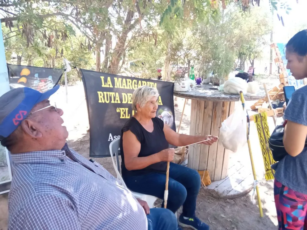 La ruta de la lana: de la oveja al pulover, explicada para todo el mundo