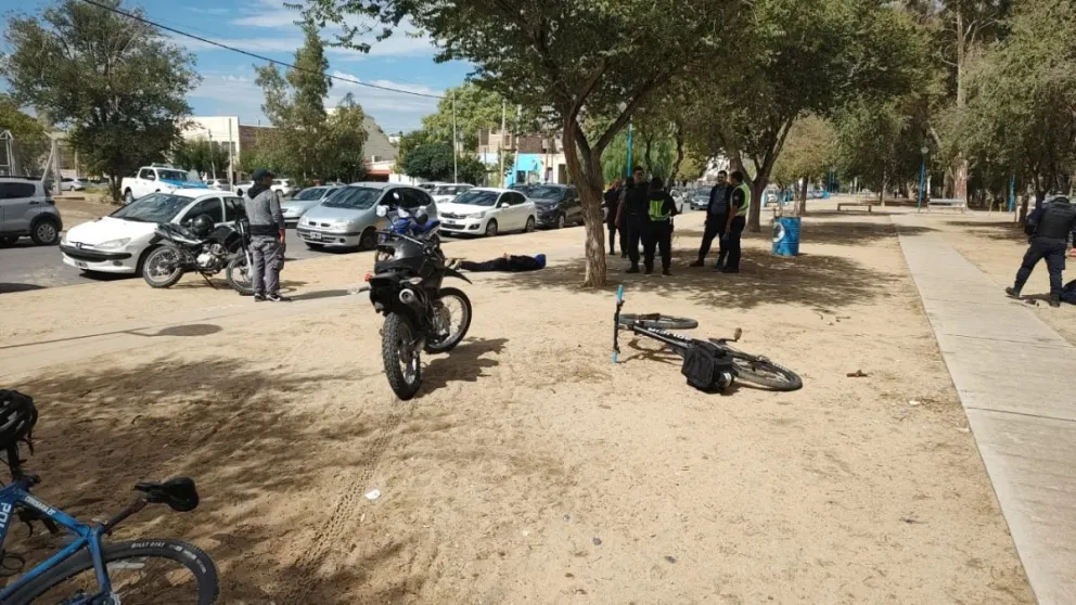Los atraparon mientras robaban un vehículo en la feria Maipú