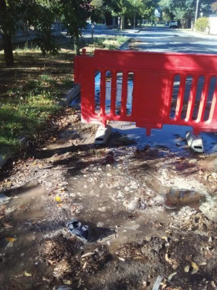 El municipio labró otras 60 actas por desbordes de agua y cloaca a ARSA