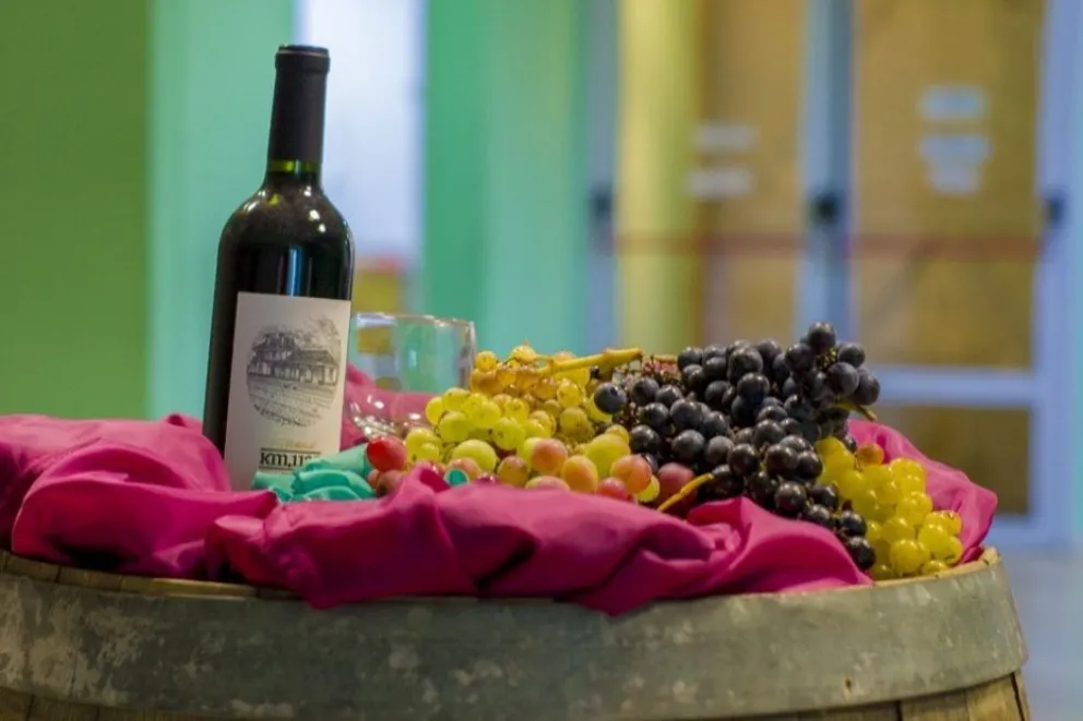 Esta noche comienza la Fiesta Provincial de la Vendimia ¡Mirá que espectáculos habrá!