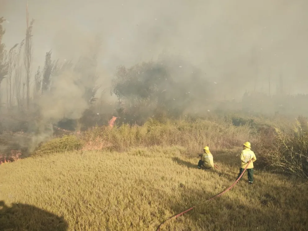 Por las altas temperaturas alertan para prevenir incendios