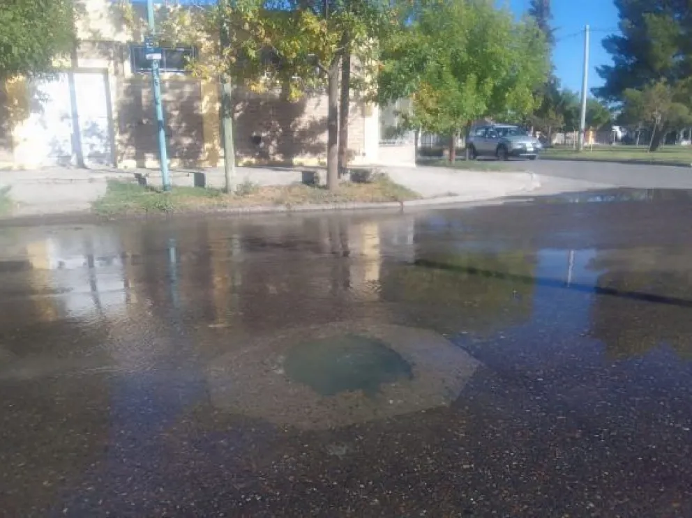 Así están las calles de Roca: desbordes cloacales y pérdidas de agua inundan la ciudad